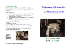 Lammeleir 1-6 kl Murumoen Lierne 2015
