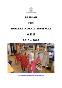 Årsplan 15-16_pdf