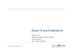 Bergen Energi Ekspertpanel