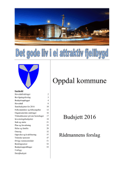 Rådmannens budsjettforslag