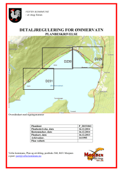 DETALJREGULERING FOR ØMMERVATN
