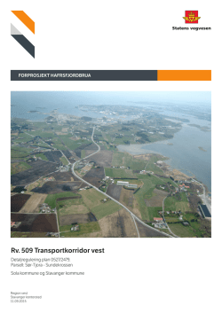 Forprosjektrapport Hafrsfjord bru
