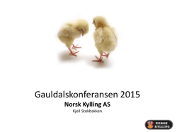 Norsk Kylling AS