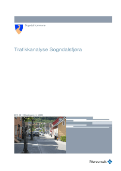 Rapport Trafikkanalyse Sogndalsfjøra