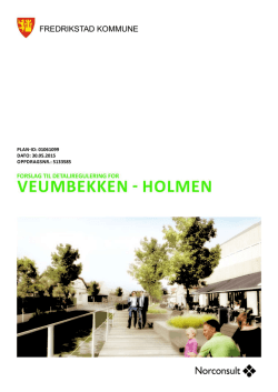 Planbeskrivelse, datert 30.05.15