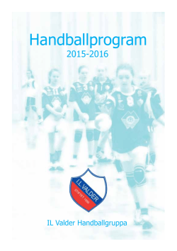 Handballprogram