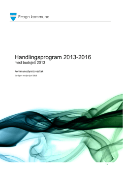 2013 Handlingsprogram