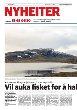 Positiv utvikling for fjellauren på Hardangervidda