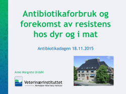 Antibiotikaforbruk og forekomst av resistens hos dyr og i mat. pdf