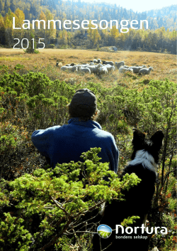 Informasjonsheftet – Lammesesongen 2015, pdf. 2 204 kb