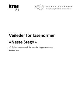 Veileder for fasenormen «Neste Steg»»