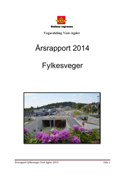 Årsrapport 2014 Fylkesveger - Vest
