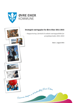 Strategisk ​næringsplan 2011-2015