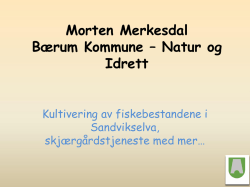 Morten Merkesdal Bærum Kommune – Natur og Idrett