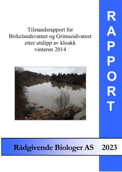 Tilstandsrapport for Birkelandsvatnet og