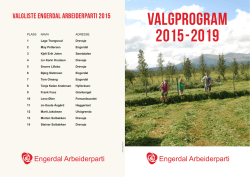 Engerdal Valgprogram 2015 2019(Engerdal Valgprogram 2015