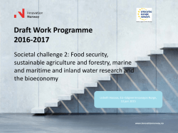 Draft Work Programme 2016-2017 - Horisont 2020
