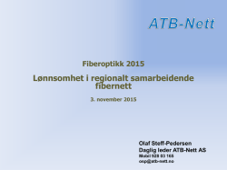Lønnsomhet i regionalt samarbeidende fibernett v/Olaf Steff