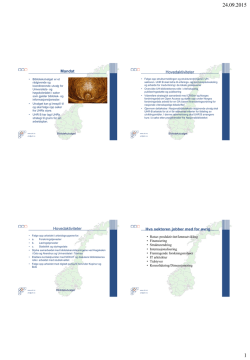 presentasjon 2-uhr-b pdf