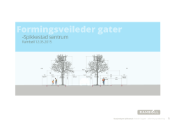 Formingsveileder gater Spikkestad sentrum