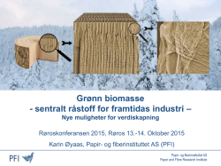 Grønn biomasse - sentralt råstoff for framtidas