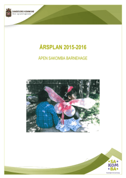 ÅRSPLAN 2015-2016 - Sandefjord kommune