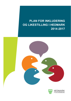 PLAN FOR INKLUDERING OG LIKESTILLING I HEDMARK 2014-2017