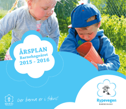 rsplan_Rypevegen_2015-201