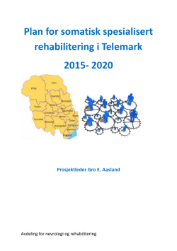 Plan 2015-2020 - Sykehuset Telemark HF
