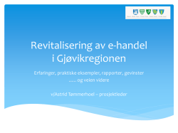 Revitalisering av e-handel i Gjøvikregionen