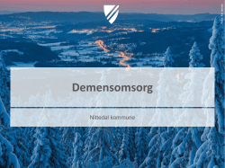 Status demensomsorg i Nittedal kommune