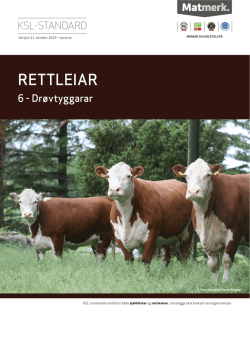 Rettleiar 6 Drøvtyggarar - nyno. - 2015