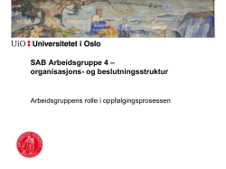 SAB Arbeidsgruppe 4 – Organisasjons og beslutningsstruktur