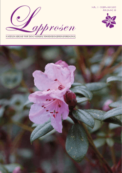 Utgave nr 1 - Den norske Rhododendronforening