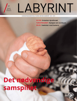 Labyrint 2015 - Universitetet i Troms&oslash;