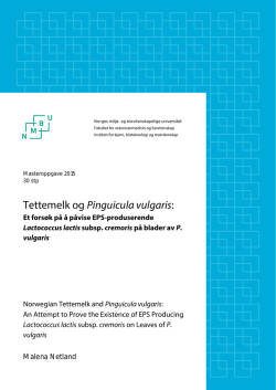 Tettemelk og Pinguicula vulgaris: