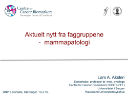 Faggruppe mammapatologi Akslen Stavanger 2015