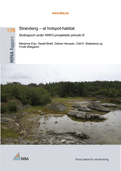 Strandeng – et hotspot-habitat. Sluttrapport under ARKO