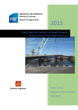 Cost Overrun Factors in Road Project: