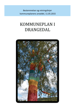 Kommuneplan i Drangedal