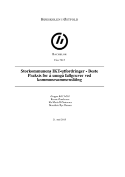 Storkommunens IKT-utfordringer - Beste Praksis for ˚a unng˚a