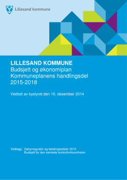 Budsjett og økonomplan 2015-2018 - vedtatt