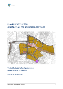 Planbeskrivelse - Røyken Kommune