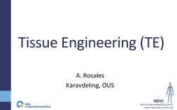 Tissue Engineering (TE)