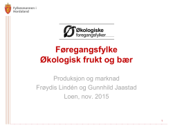 volum og marknad for norsk frukt