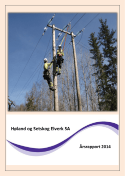 Årsrapport 2014 - Høland og Setskog Elverk SA