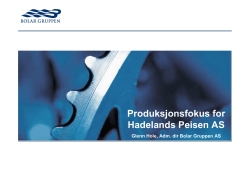 Produksjonsfokus for Hadelands Peisen AS