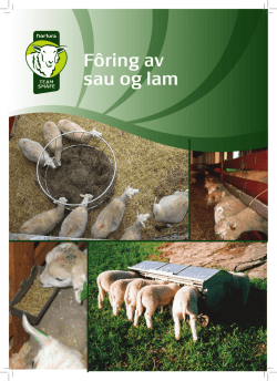 Vedlegg 4: Tema-ark Fôring av sau og lam