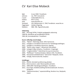 CV i  format - Kari Elise Mobeck