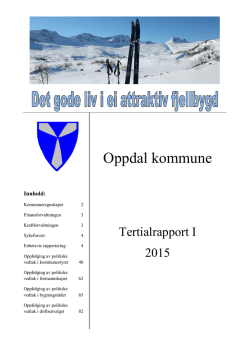Tertialrapport I 2015